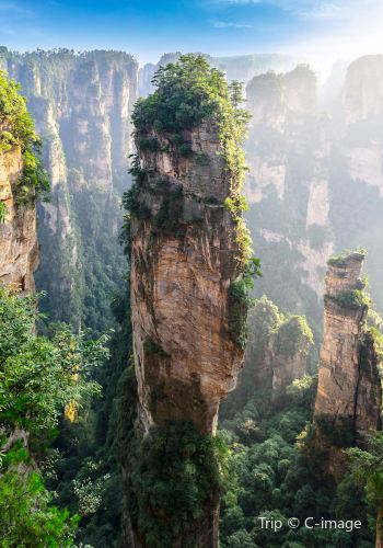 2D1N • Best for Families: Zhangjiajie 2-Day In-Depth Forest Park & Golden Whip Stream, Avatar, Tianmen & Glass Bridge - free drone, eSIM & Muslim-friendly
