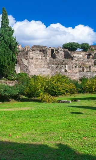 12D11N • France - Marseille & Avignon & Nice + Italy - Florence & Rome & Naples