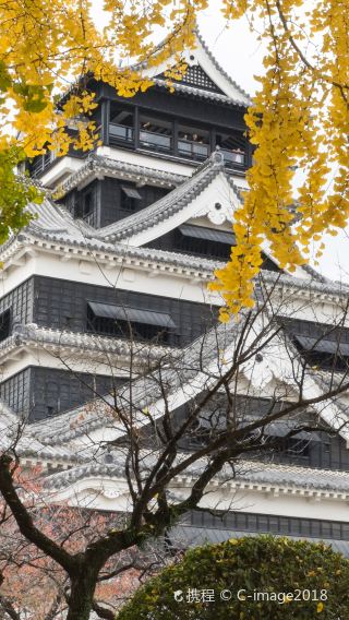 8天7晚 • 日本九州熊本市＋宮崎市＋福岡「神宿九州 · 古韻今風探秘之旅」 觀火山口千年文化歷史＆太宰府由布院搭乘由布院之森號列車