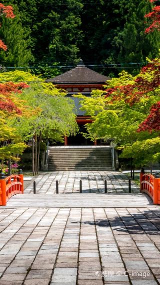 5天 • 關西深度風情之旅 ・獨立成團