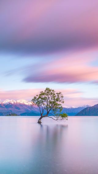 6D5N • Wander through the heart of the South Island and gaze up at the snow-capped peaks of Mount Cook