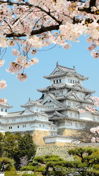 4天3晚 • 關西深度風情之旅 ・獨立成團 ・名城庭園巡禮｜瀨戶內海絕景｜鳴門漩渦觀潮｜大塚藝術＆阿波舞體驗｜父母ヶ濱海濱絕景