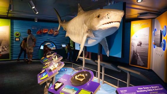 New England Aquarium