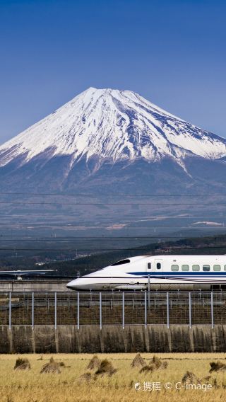 7D6N • Japan + Osaka + Tokyo + Mount Fuji + Kyoto