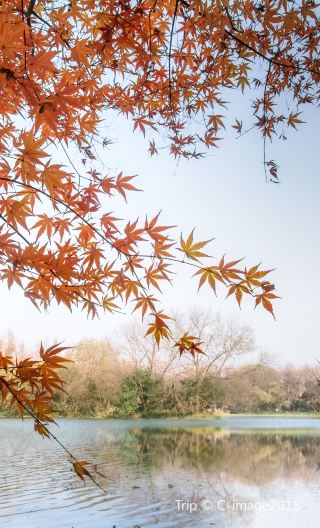 2D1N • Hangzhou + Wuzhen + West Lake - Accommodation inside West Gate of Wuzhen