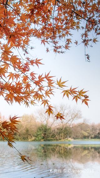 3D2N • Hangzhou + Xitang Historic Town of China + Wuzhen