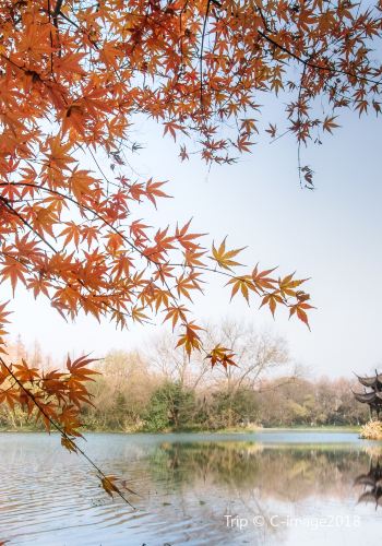 5D4N • 1 night at a hotel by the Bund: Shanghai + Hangzhou + Suzhou + Wuzhen