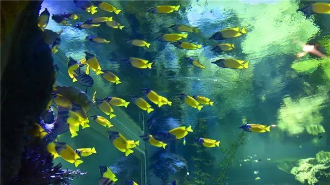 Lanzhou Polar Ocean World