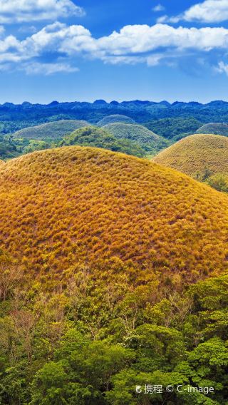 6D5N • Bohol Dolphin Watching + Sea Turtle Encounter + Virgin Island + Chocolate Hills + Tarsier Viewing + Bamboo Raft Lunch