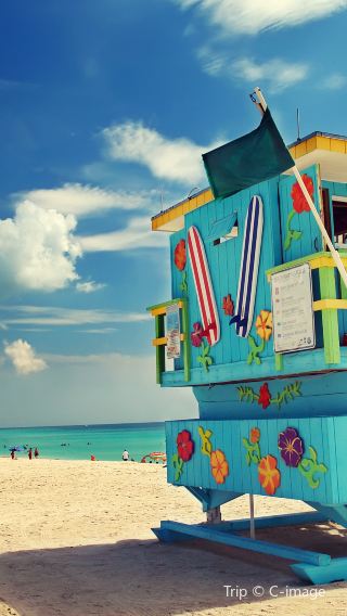 6D5N • Miami Coast, USA - South Beach White Sand + Everglades Airboat Ride + Ernest Hemingway Home and Museum