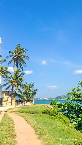 7天6晚 • 可倫坡Colombo＋美蕊沙出海賞鯨＋米內瑞亞國家公園吉普車Safari＋獅子岩＋佛牙寺＋丹布勒石窟＋加勒＋海上小火車＋高蹺漁夫