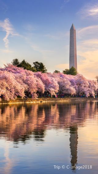11D10N • New York + Philadelphia + Washington D. C. + Boston - Three Days of Free Time in New York
