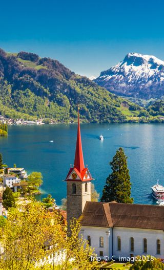 5D4N • Switzerland: Geneva, Lausanne, Bern, Interlaken, Lucerne, Zurich, Palais des Nations, Olympic Museum, Lake Lucerne boat cruise, Kunsthaus Zürich