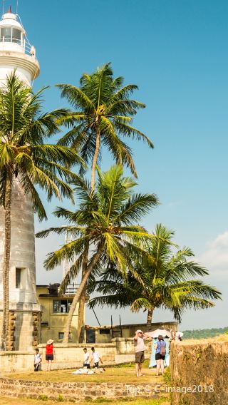 7D6N • Sri Lanka+Dambulla + Colombo + Sigiriya Lion Rock + Temple of the Sacred Tooth Relic + Yala National Park + Mirissa Whale Watching Cruise + Coastal Train Ride