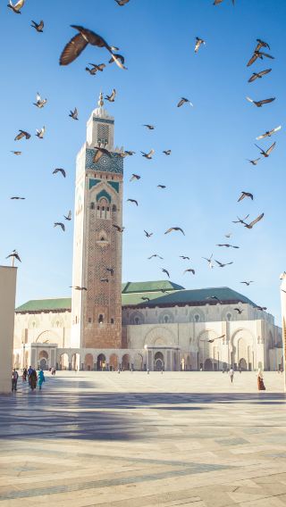 7D6N • Morocco