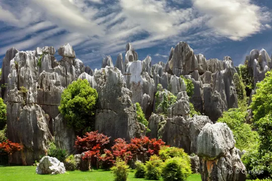 Stone Forest Scenic Area
