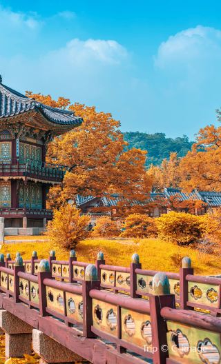 7D6N • South Korea Seoul + Busan + Jeju: 9-person VIP Tour. City hotels, KTX tickets, full transfers, and unique Capsule Train experience