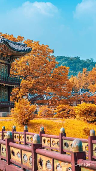 7D6N • South Korea Seoul + Busan + Jeju: 9-person VIP Tour. City hotels, KTX tickets, full transfers, and unique Capsule Train experience