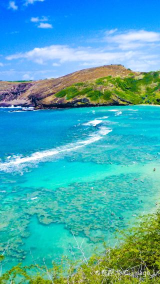 4D3N • Oahu