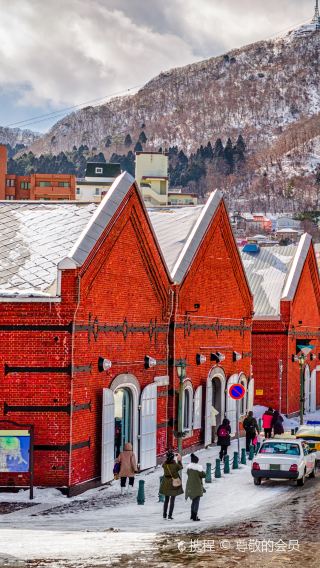 8D6N • Hokkaido Winter Dreamland · Mandarin-Speaking · Round-trip Flight on Japan Airlines · JL