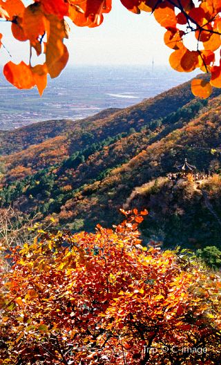 5天4晚 • 秋色京城 漫遊京城世界遺產 5天純玩小團 華住會旗下飯店-桔子飯店 交通便利 