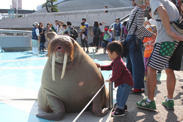 大分マリーンパレス水族館「うみたまご」