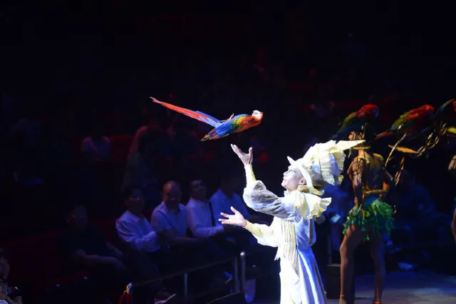 【廣州天氣】2026廣州全年氣溫指南,最佳旅遊季節與穿衣搭配建議