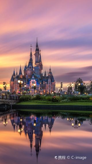 5D4N • Shanghai Disney Resort, English tour guide service is optional