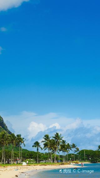 11D10N • Hawaii Classic Tour: 3 Days on Hawaii Island & 7 Days on O'ahu - One Complete Package