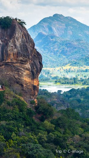 2D1N • Sri Lanka+Colombo + Dambulla + Kandy + Pinnawala Elephant Orphange + Sigiriya Lion Rock + Temple of the Sacred Tooth Relic + Royal Botanical Garden + Kandy Lake