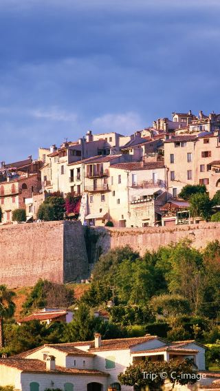 5D4N • France+Nice+Aix-en-Provence+Avignon+Marseille+Cannes+Antibes+Abbaye de Sénanque+Palais des Papes+Château des Baux-de-Provence+Notre-Dame de la Garde