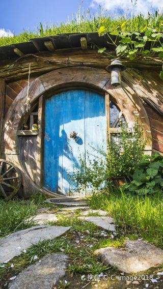 4D3N • New Zealand North Island - Hobbiton - Glowworm Caves - Māori Village - Huka Falls - Wellington