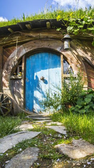 4D3N • New Zealand North Island - Hobbiton - Glowworm Caves - Māori Village - Huka Falls - Wellington