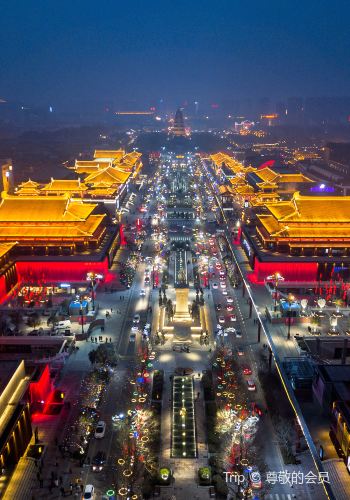 2D1N • Xi'an + Terracotta Army + Xi'an City Wall + Big Wild Goose Pagoda + Han Yangling National Archaeological Site Park, Choose your hotel