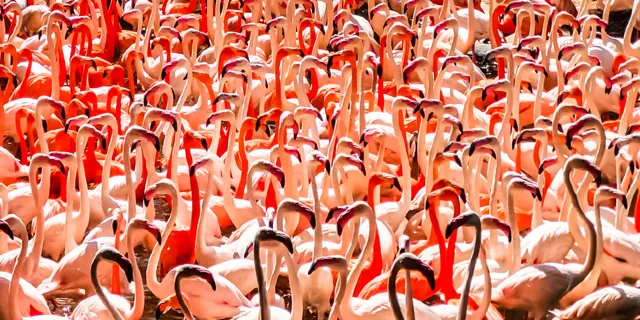 【廣州天氣】2026廣州全年氣溫指南,最佳旅遊季節與穿衣搭配建議