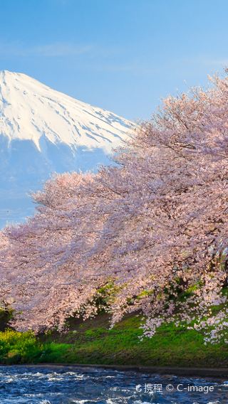 2D1N • 2‑day tour of Tokyo - Mount Fuji - Karuizawa ‑ Panoramic ropeway ‑ Hotel accommodation included