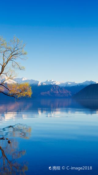 4D3N • South Island of New Zealand - Aoraki Mount Cook - Tekapo - Wanaka - Queenstown