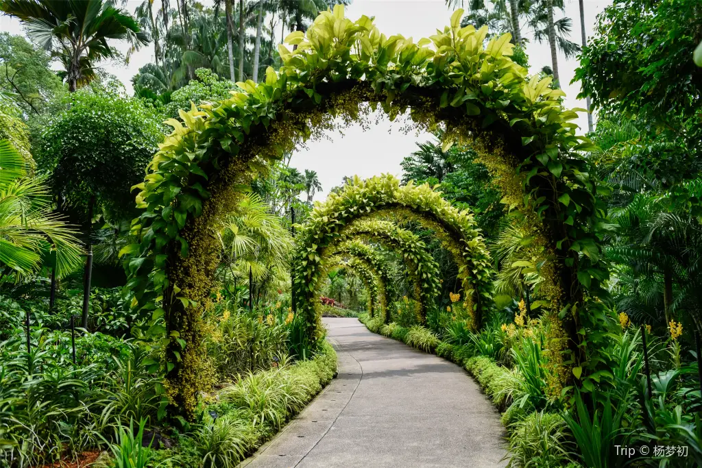 Singapore Botanic Gardens Tickets [2026] - Promos, Prices, Reviews ...