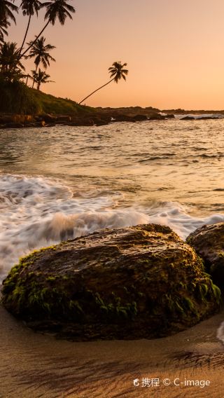 7D6N • Sri Lanka+Dambulla + Colombo + Trincomalee Whale Watching + Sigiriya Lion Rock + Temple of the Sacred Tooth Relic + Minneriya National Park + Hill Country Train