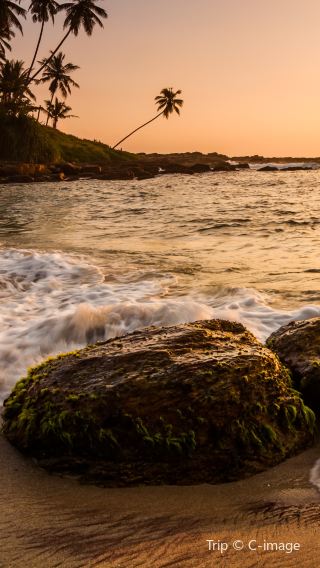 7D6N • Sri Lanka+Dambulla + Colombo + Trincomalee Whale Watching + Sigiriya Lion Rock + Temple of the Sacred Tooth Relic + Minneriya National Park + Hill Country Train