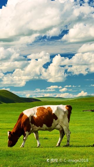 4D3N • Hulunbuir + Ergun + Manzhouli + Inner Mongolia