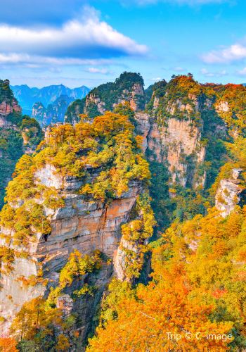 2日1晚 • 張家界＋武陵源＋天門山國家森林公園·自選加購景點·住一晚豪華希5鉆爾頓·司導陪同景區遊覽·贈一次無人機空拍服務