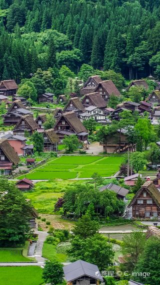 7D6N • Tokyo, Mt. Fuji, Nagoya, Takayama, Shirakawa-go, Kanazawa, Tokyo