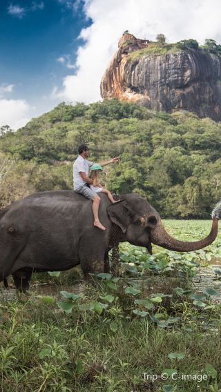 10D9N • 10-day 9-night private tour of Colombo, Yala National Park, Dambulla, Kandy, Galle and Mirissa, Sri Lanka