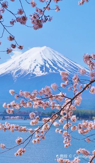4D3N • Exquisite Short Break Collection-Tokyo and Mt. Fuji