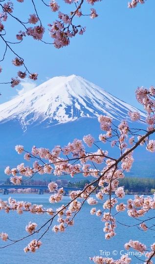 4D3N • Exquisite Short Break Collection-Tokyo and Mt. Fuji