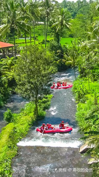 5D4N • Indonesia + Bali + "Private Holiday" 5-Diamond Villa + Beachfront Hotel | Penida + Snorkeling | Ubud Rice Terraces + Jimbaran + Kuta