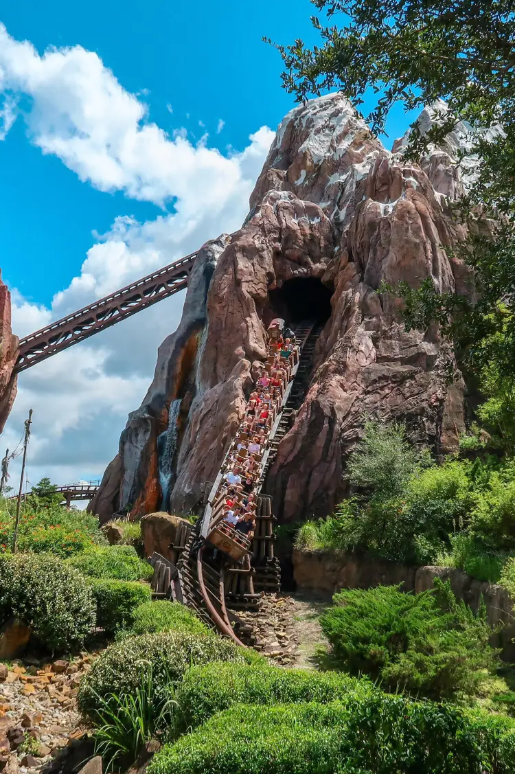 Walt Disney World Resort Tickets [2025] Promos, Prices, Reviews