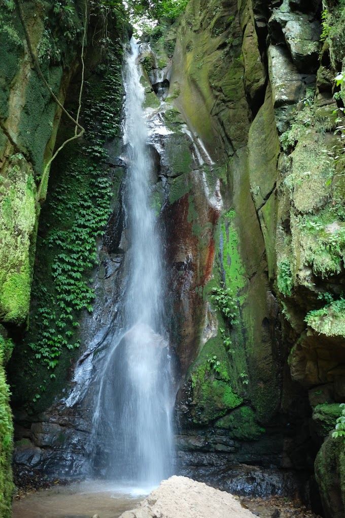 Gombe National Park, Gombe