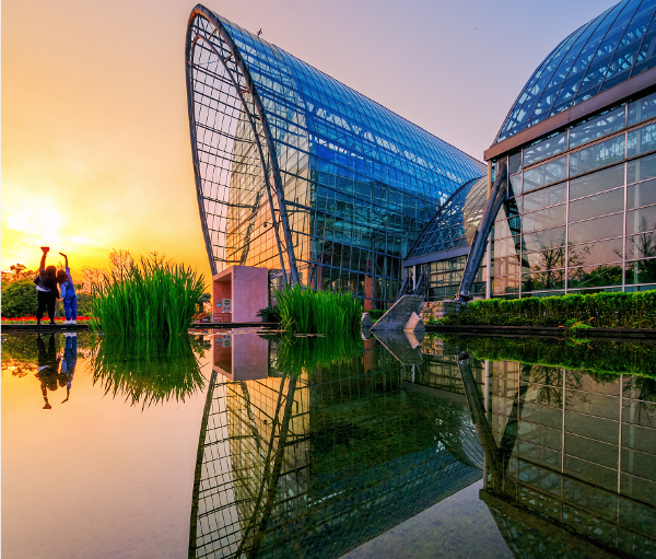 Nanshan Botanical Garden